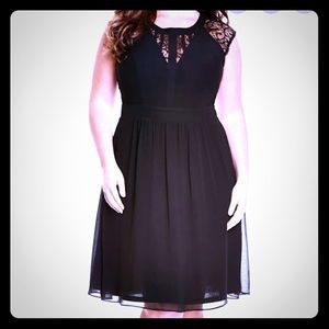 City Chic dark romance lace yoke knee length dress